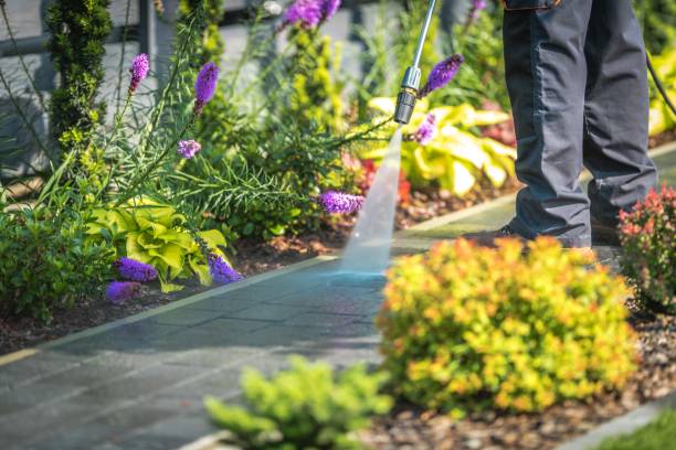 Best Dumpster Area Cleaning  in Northfield, IL