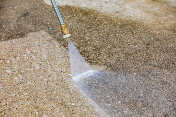 Best Driveway Pressure Washing  in Northfield, IL